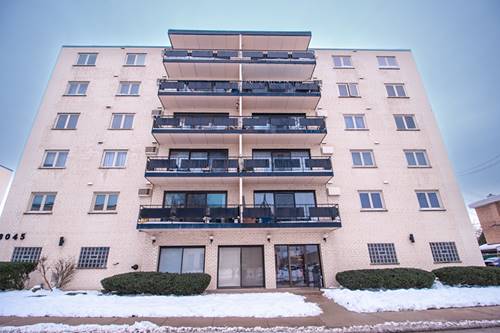 8045 W Oconnor Unit 6A, River Grove, IL 60171