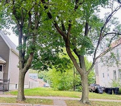 4250 S Wells, Chicago, IL 60609
