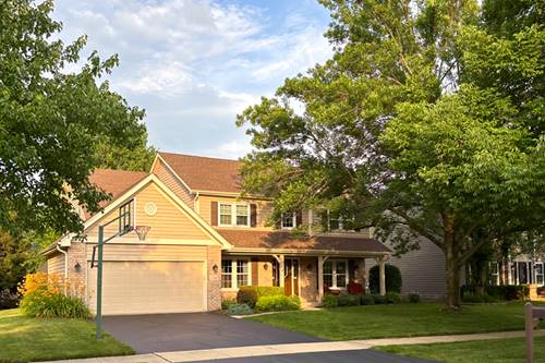 3740 Caine, Naperville, IL 60564