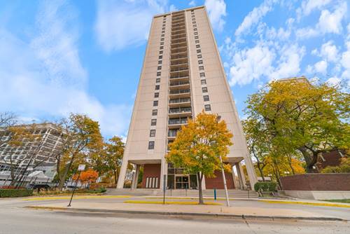 2605 S Indiana Unit 2107, Chicago, IL 60616