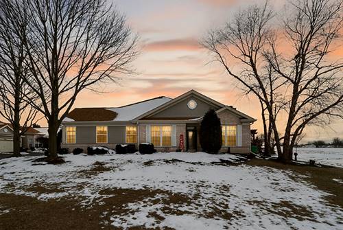 21521 W Juniper, Plainfield, IL 60544