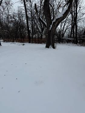 19611 Crawford, Flossmoor, IL 60422