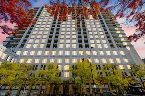 1255 S State Unit 1701, Chicago, IL 60605