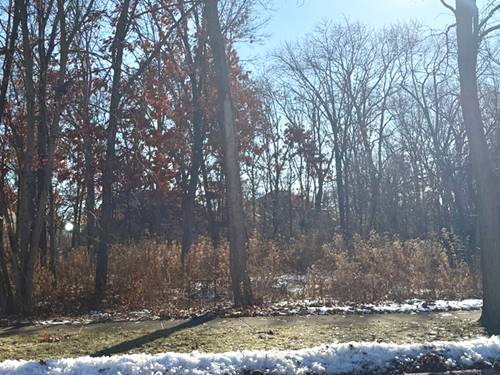 734 W Feather Sound, Bolingbrook, IL 60440