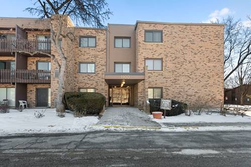 1100 E Randville Unit 312, Palatine, IL 60074