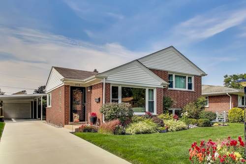 304 Amherst, Des Plaines, IL 60016