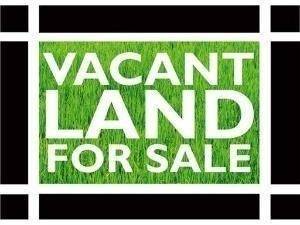 7656 S Union, Chicago, IL 60620