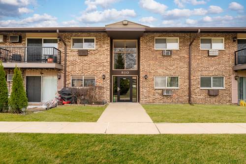 810 E Old Willow Unit 209, Prospect Heights, IL 60070