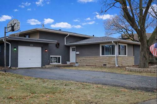 450 E Park, Elmhurst, IL 60126