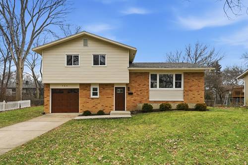 703 N Whitcomb, Palatine, IL 60074