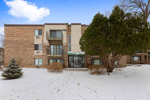 1493 N Winslowe Unit 204, Palatine, IL 60074