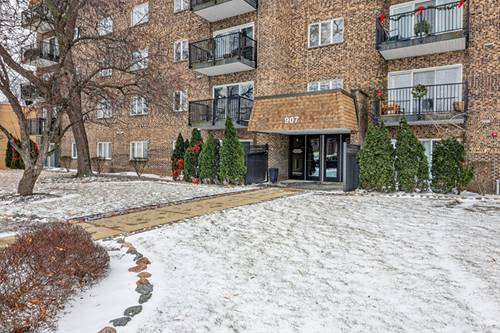 907 Curtiss Unit 407, Downers Grove, IL 60515