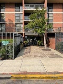 2921 S Michigan Unit 405, Chicago, IL 60616