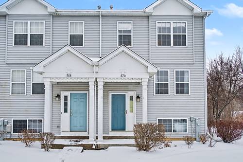 570 N Triumph, Hainesville, IL 60073