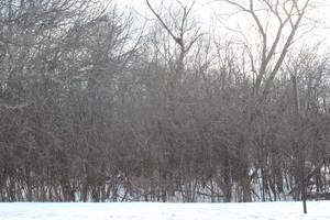 930 N N Fairfield, Round Lake Beach, IL 60073