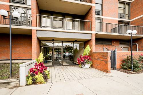 3041 S Michigan Unit 509, Chicago, IL 60616