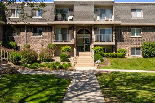 864 Winesap Unit 307, Prospect Heights, IL 60070