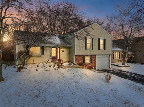 113 Wallace, Bartlett, IL 60103