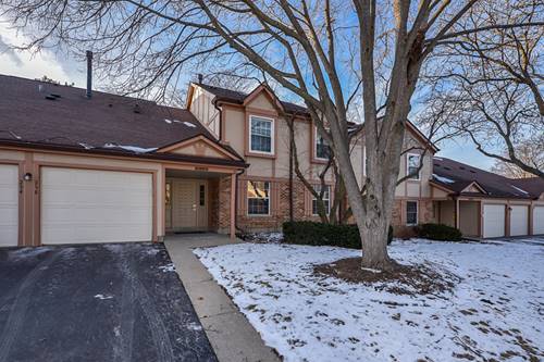 252 Appletree Unit 0, Buffalo Grove, IL 60089