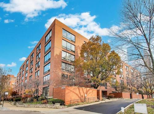 1169 S Plymouth Unit 114, Chicago, IL 60605