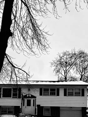 16334 Ridgeland, Tinley Park, IL 60477