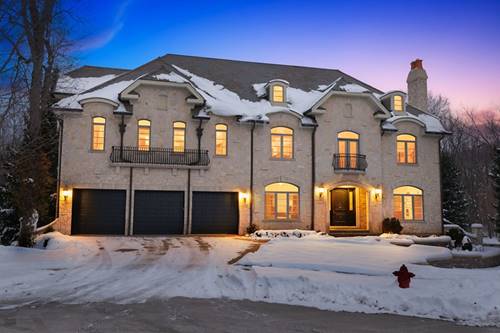 107 Carmela, Bloomingdale, IL 60108