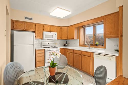 5005 Warren Unit 207, Skokie, IL 60077