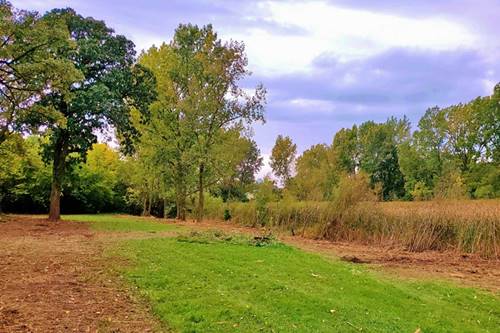 840 Arbor, West Chicago, IL 60185