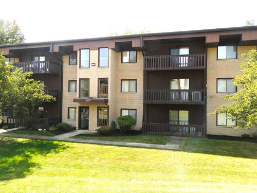 3107 Ingalls Unit 3B, Joliet, IL 60435