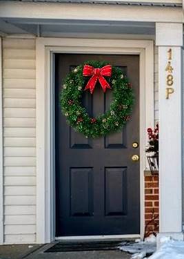 148 Bertram Unit P, Yorkville, IL 60560