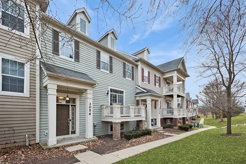 3056 Mosedale, Elgin, IL 60124