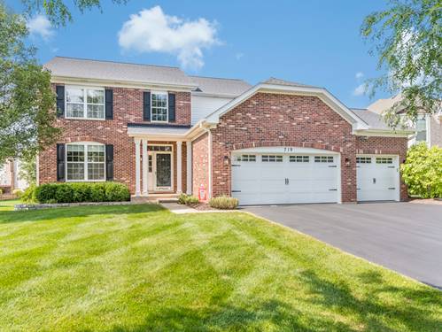 719 Eagle Brook, Naperville, IL 60565