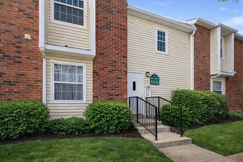 1235 Wyndham Unit 203, Palatine, IL 60074