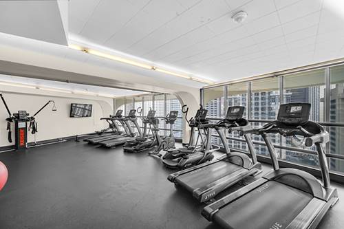 300 N State Unit 4110, Chicago, IL 60654