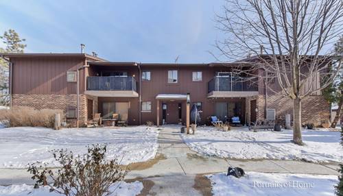 55 W 64th Unit 204, Westmont, IL 60559