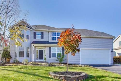13204 Cinnamon, Plainfield, IL 60585