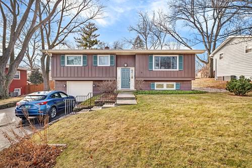 533 Hitchcock, Lisle, IL 60532