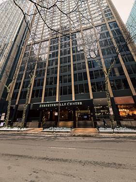 233 E Erie Unit 1703, Chicago, IL 60611