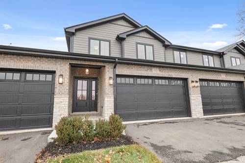 11317 1st, Mokena, IL 60448