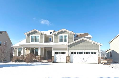 3907 Nannyberry, Naperville, IL 60564
