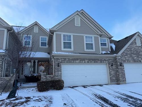 133 River Mist, Oswego, IL 60543