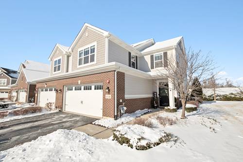 16146 W Coneflower, Lockport, IL 60441