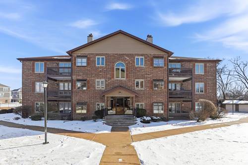 17236 Ridgeland Unit 412, Tinley Park, IL 60477
