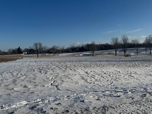 10006 St Andrews, Marengo, IL 60152