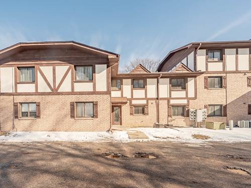 2807 Glenwood Lansing Unit 211, Lynwood, IL 60411