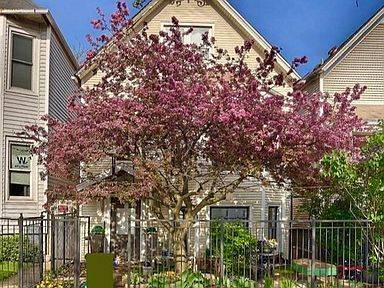 3745 N Seminary Unit 1, Chicago, IL 60613