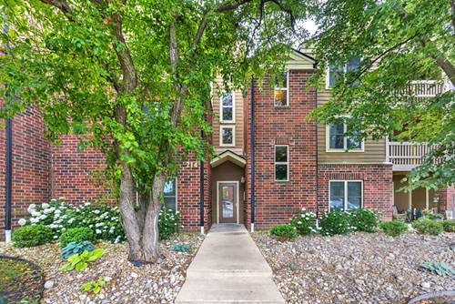 214 Glengarry Unit 201, Bloomingdale, IL 60108
