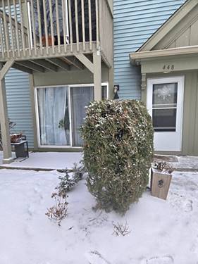 448 Bridle Unit 448, Wheeling, IL 60090