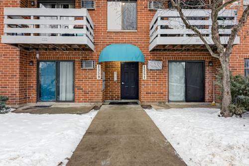 1351 N Winslowe Unit 302, Palatine, IL 60074