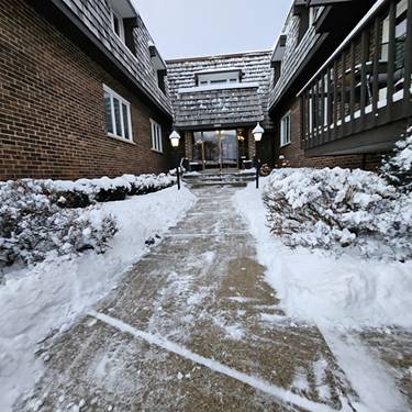 2300 W Talcott Unit 1A1, Park Ridge, IL 60068